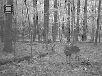 November2013